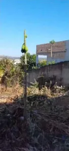 Lote/Terreno à venda, 360m² no Serra Dourada, Vespasiano