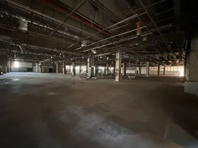Galpão/Depósito/Armazém para alugar, 29644m² no Jardim Santa Cruz (Sacomã), São Paulo