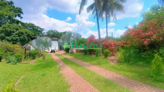 Fazenda/Sítio com 2 Quartos à venda, 1000m² no Estância Jóckei Club, São José do Rio Preto