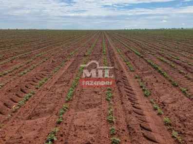 Fazenda/Sítio à venda, 500m² no , Aporé
