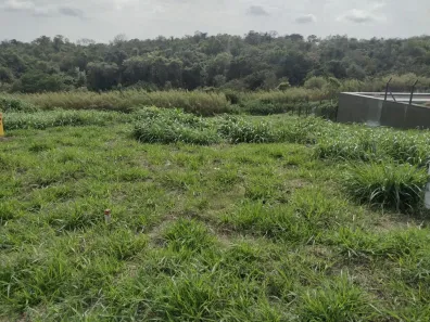 Lote/Terreno à venda, 1600m² no Terras de Itaici, Indaiatuba