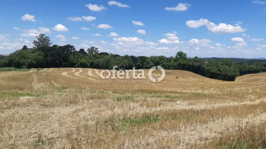 Fazenda/Sítio à venda, 51955m² no Área Rural de Araucária, Araucária