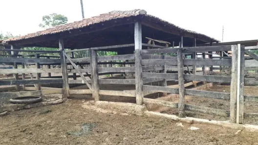 Fazenda/Sítio à venda, 280000m² no Centro, Formosa