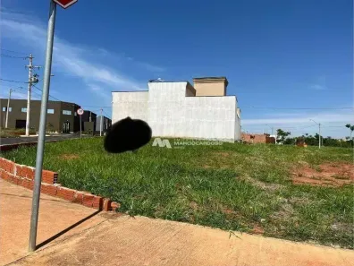 Lote/Terreno à venda, 228m² no Residencial e Empresarial Ascolo Martin, São José do Rio Preto