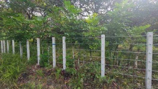 Lote/Terreno à venda, 360m² no Encarnacao, Salinas da Margarida