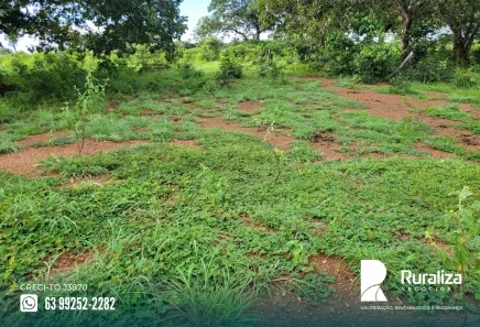 Fazenda/Sítio para alugar, 500m² no , Santa Rita do Tocantins