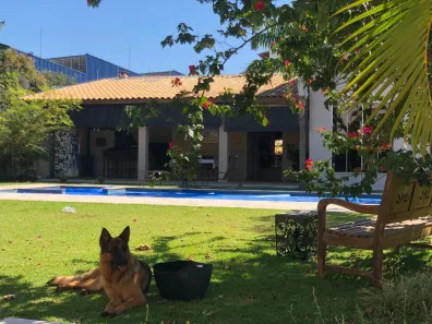 Fazenda/Sítio com 4 Quartos à venda, 470m² no Jardim Palestina, Franca