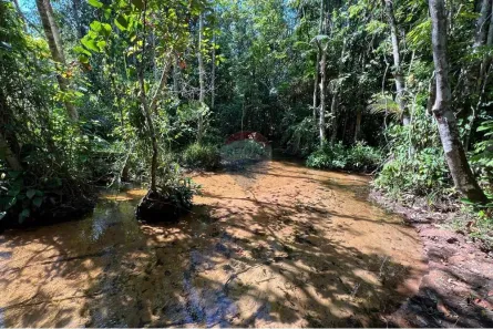 Fazenda/Sítio à venda, 629200m² no Área Rural de Araguaína, Araguaína