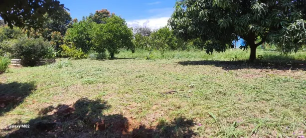 Fazenda/Sítio com 2 Quartos à venda, 44000m² no Parque Residencial Terras de Yucatan, Monte Mor