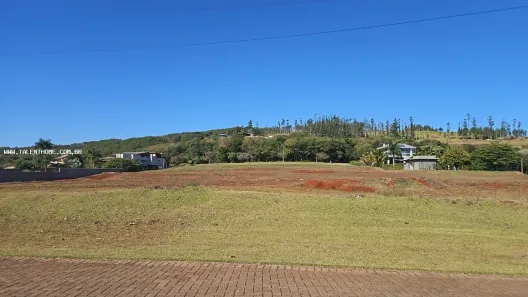 Lote/Terreno à venda, 1470m² no Brasília, Londrina
