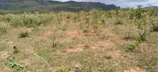 Fazenda/Sítio à venda, 957m² no , Santo Hipólito