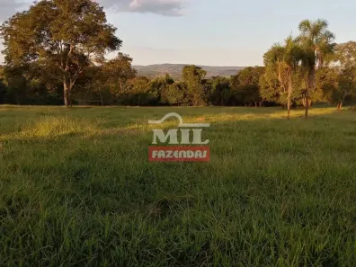Fazenda/Sítio à venda, 500m² no , Guapó