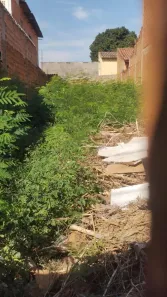 Lote/Terreno à venda, 160m² no Jardim Minnesota (Nova Veneza), Sumaré