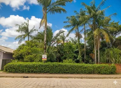 Lote/Terreno à venda, 331m² no Parque Residencial Cerro Azul, Araquari