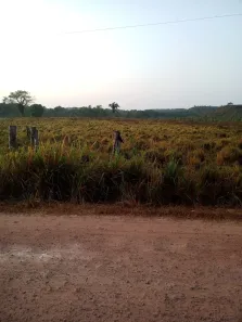 Fazenda/Sítio com 3 Quartos à venda no Centro, Cantanhede
