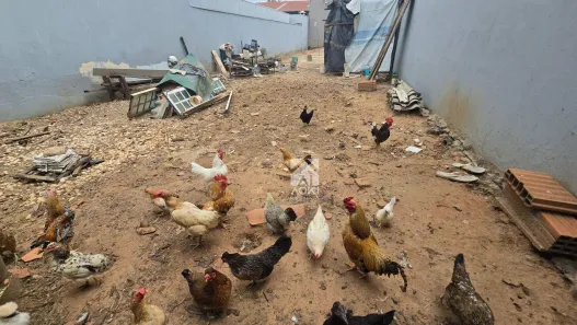 Lote/Terreno à venda, 210m² no Parque Novo Mundo, Americana