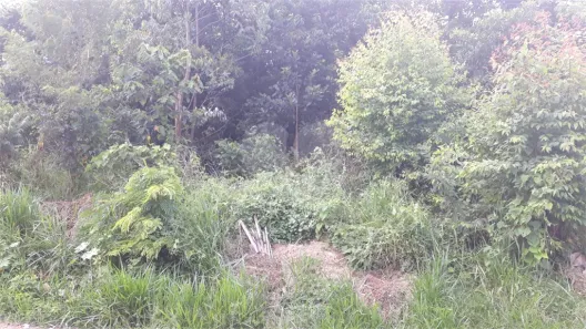 Lote/Terreno à venda, 1721m² no Capoavinha, Mairiporã