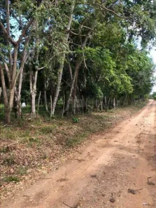 Fazenda/Sítio à venda, 18150m² no , Nossa Senhora do Socorro