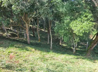 Lote/Terreno à venda, 1562m² no Ouro Fino, Santa Isabel