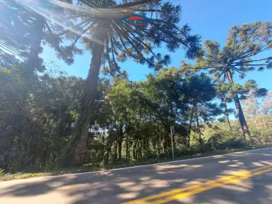 Lote/Terreno à venda, 36793m² no Carlos Barbosa, Carlos Barbosa