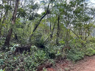 Lote/Terreno à venda, 3951m² no São João da Graciosa, Morretes