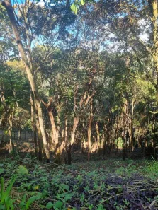 Lote/Terreno à venda, 1400m² no Estância Serrana, Nova Lima