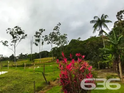 Fazenda/Sítio com 3 Quartos à venda, 176m² no Vila Nova, Joinville