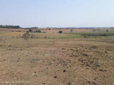 Fazenda/Sítio à venda, 10500m² no , Álvares Machado