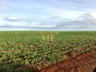 Fazenda/Sítio com 1 Quarto à venda, 8421600m² no Centro, Bela Vista do Paraíso