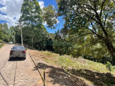 Lote/Terreno à venda, 2300m² no Vinhedos, Caxias do Sul