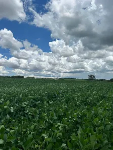 Lote/Terreno à venda, 20000m² no Área Rural de Limeira, Limeira