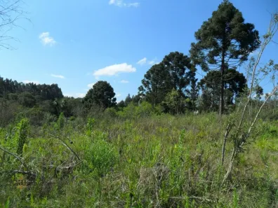 Lote/Terreno à venda, 42478m² no Areia Branca dos Assis, Mandirituba