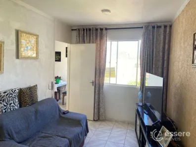 Apartamento com 3 Quartos à venda, 70m² no Conjunto Residencial Parque Bandeirantes, Campinas
