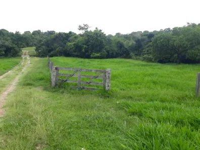 Fazenda/Sítio com 2 Quartos à venda, 7m² no Setor Central, Novo Brasil