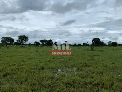 Fazenda/Sítio à venda, 1m² no , São Miguel do Araguaia