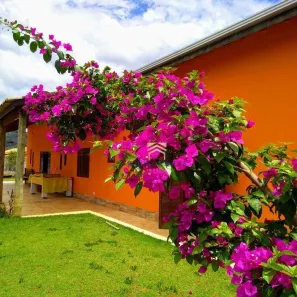 Fazenda/Sítio com 5 Quartos à venda, 3200m² no Itapeva, Itapeva