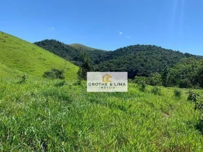 Lote/Terreno à venda, 242000m² no Parque São Domingos, Pindamonhangaba