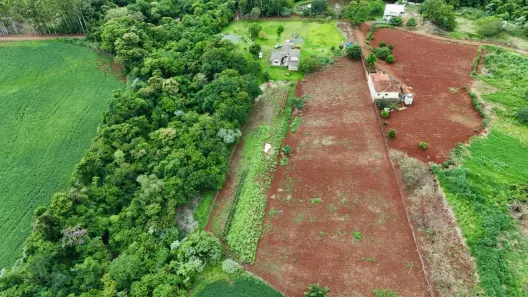 Fazenda/Sítio com 3 Quartos à venda, 20000m² no Limoeiro, Londrina