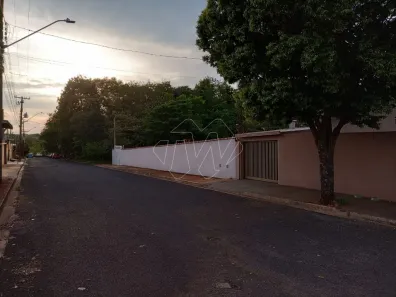 Fazenda/Sítio com 4 Quartos à venda, 9461m² no Vila Standard, Araraquara