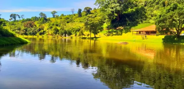 Fazenda/Sítio com 5 Quartos à venda, 2000m² no , Coronel Pacheco