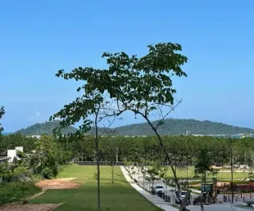 Lote/Terreno à venda, 362m² no Campeche, Florianópolis