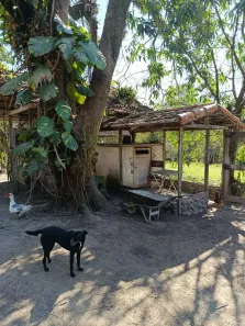 Fazenda/Sítio à venda, 10000m² no Vila Rica, Itaboraí