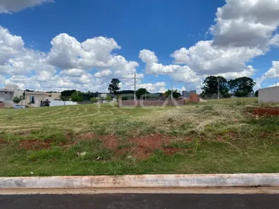 Lote/Terreno à venda, 250m² no Residencial Samambaia, São Carlos
