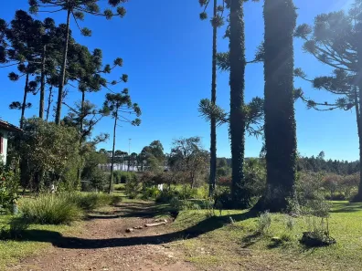 Galpão/Depósito/Armazém à venda, 156963m² no , Campina Grande do Sul