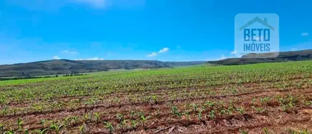 Fazenda/Sítio à venda, 35000000m² no , Delfinópolis