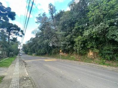 Lote/Terreno à venda, 454m² no Palace Hotel, Canela