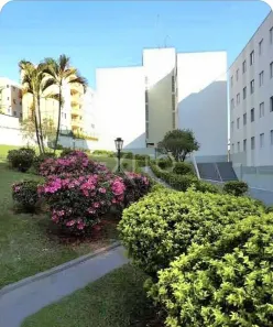 Apartamento com 2 Quartos à venda, 50m² no Jardim Colônia, Jundiaí