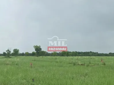 Fazenda/Sítio à venda, 500m² no , Cocalinho