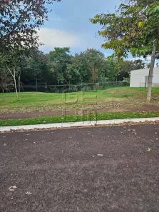 Lote/Terreno à venda, 250m² no Jardim Montecatini, Londrina