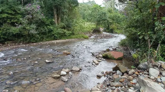 Fazenda/Sítio com 1 Quarto à venda, 696960m² no Centro, Santa Rosa de Lima